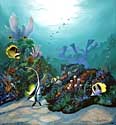 Coral Paradise (Oil)